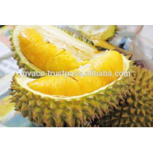 HOT PRODUCT -FRESH DURIAN HIGH QUALITY - BEST PRICE FROM VIETNAM